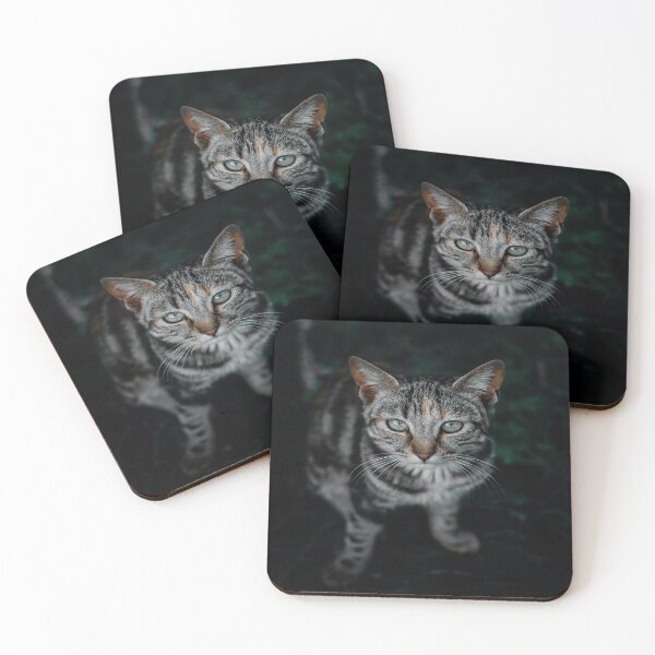 Item preview, Luxury Cat designed and sold by custompro.