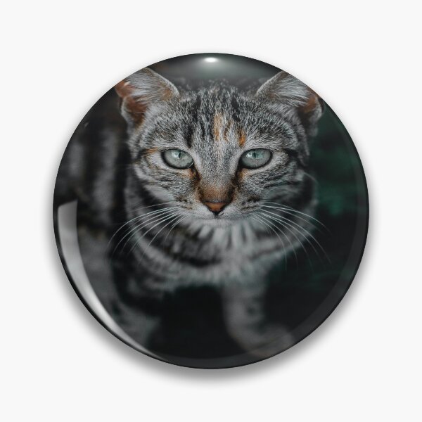 Item preview, Luxury Cat designed and sold by custompro.