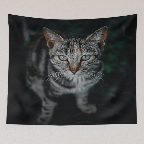 Item preview, Luxury Cat designed and sold by custompro.