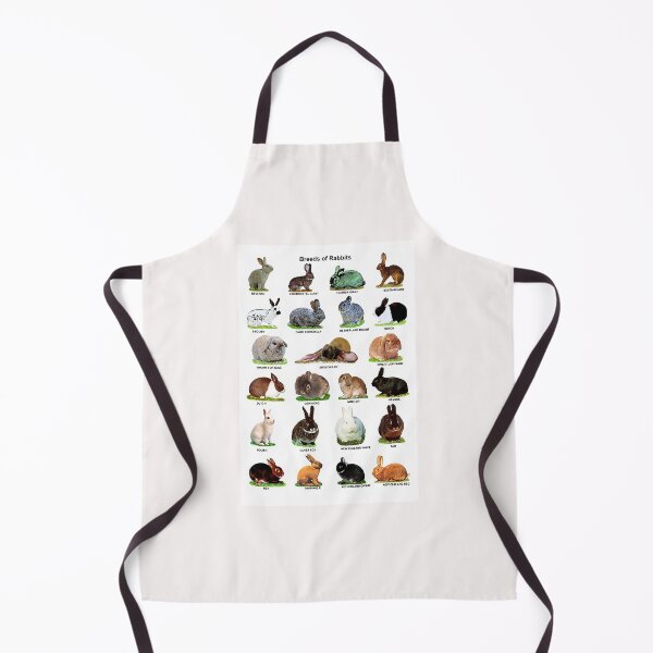 Item preview, Breeds Of Rabbits designed and sold by PujolsManue.