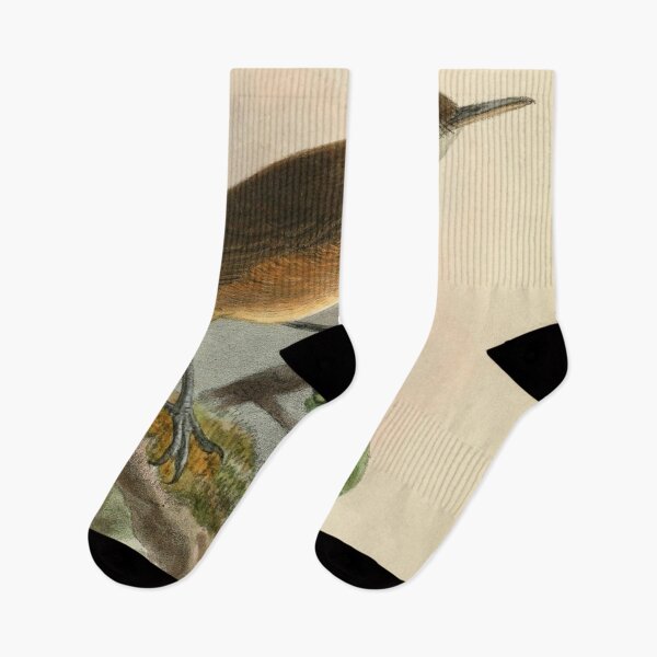 Item preview, Kemp's Longbill From Sierra Leone designed and sold by laguitan10.