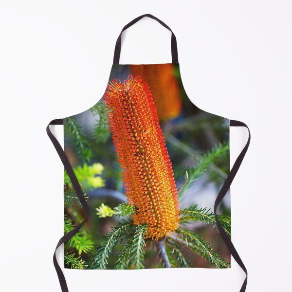 Item preview, Banksia Ericifolia Candle Flowers designed and sold by Joy Watson - Natural Light Photography .