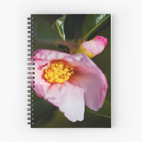 Item preview, Beautiful Unique Camellia Sasanqua designed and sold by Joy Watson - Natural Light Photography .