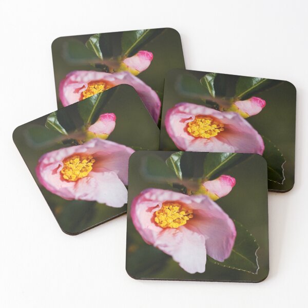 Item preview, Beautiful Unique Camellia Sasanqua designed and sold by Joy Watson - Natural Light Photography .