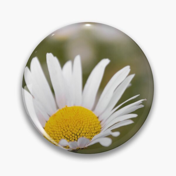 Item preview, Common Daisy designed and sold by JEZ22.