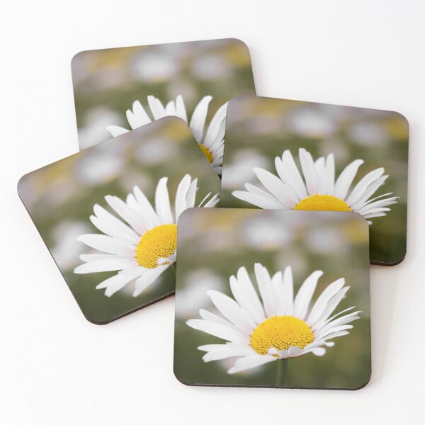 Item preview, Common Daisy designed and sold by JEZ22.