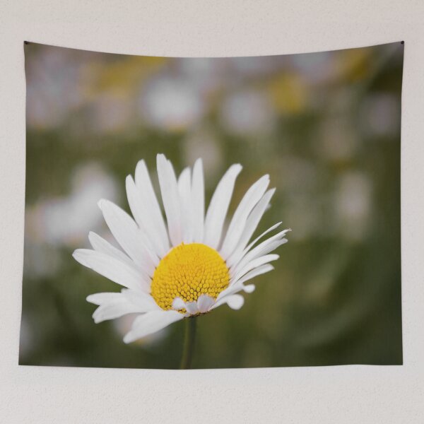 Item preview, Common Daisy designed and sold by JEZ22.
