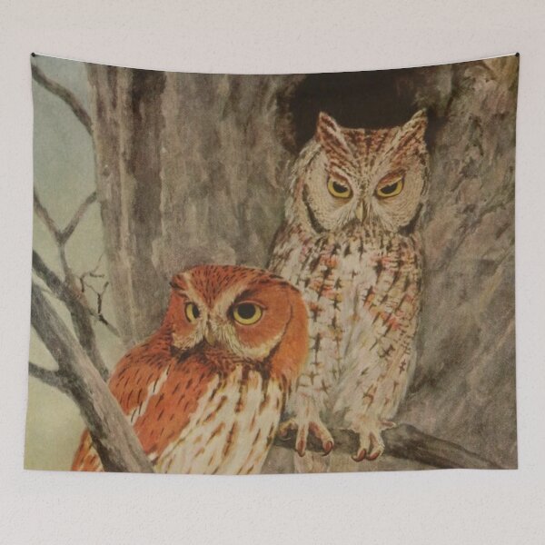 Item preview, Two Eastern Screech Owls designed and sold by laguitan10.
