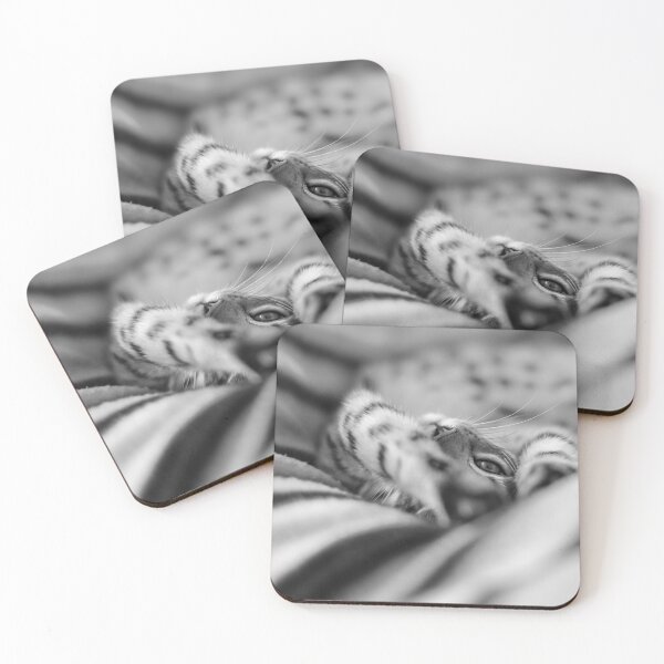 Item preview, Spots on Stripes designed and sold by aka-photography.