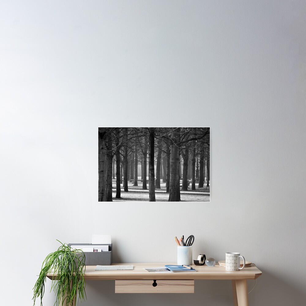 Winter Garden Poster