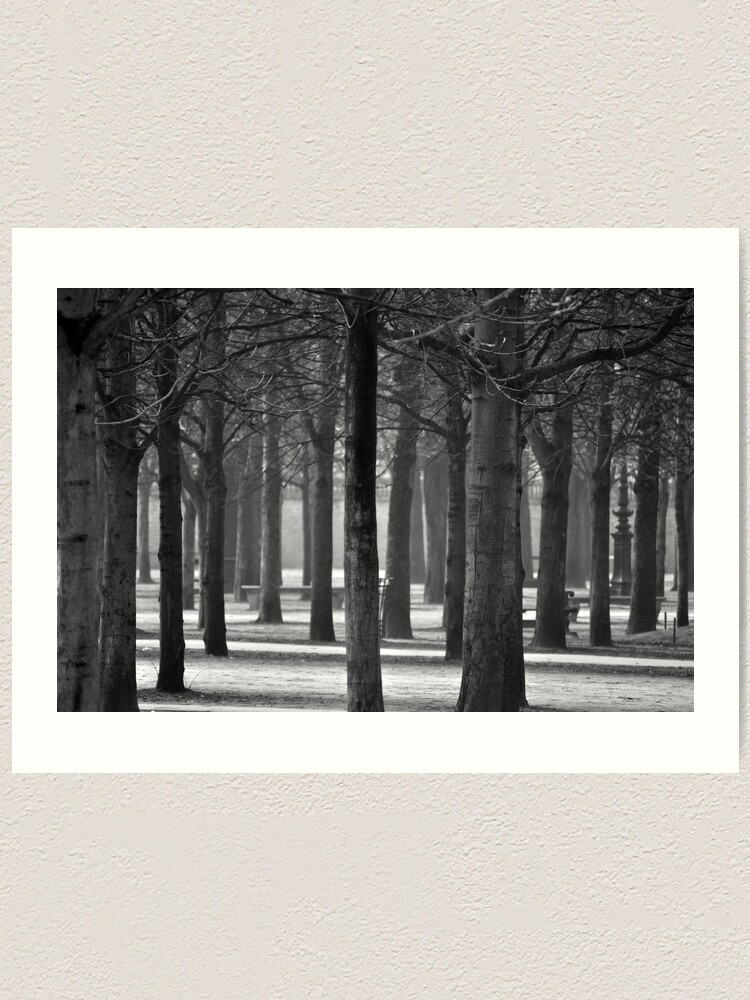 Alternate view of Winter Garden Art Print