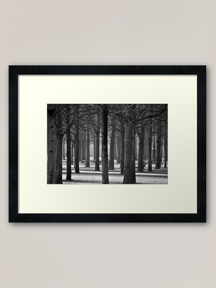 Alternate view of Winter Garden Framed Art Print