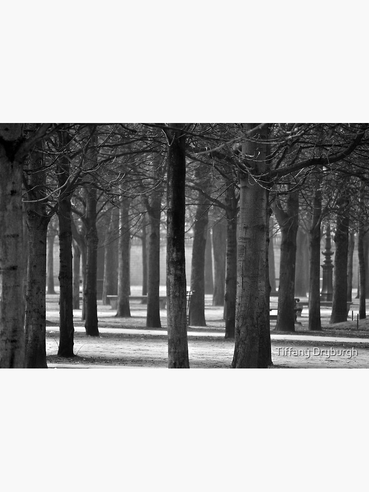 Winter Garden by Tiffany