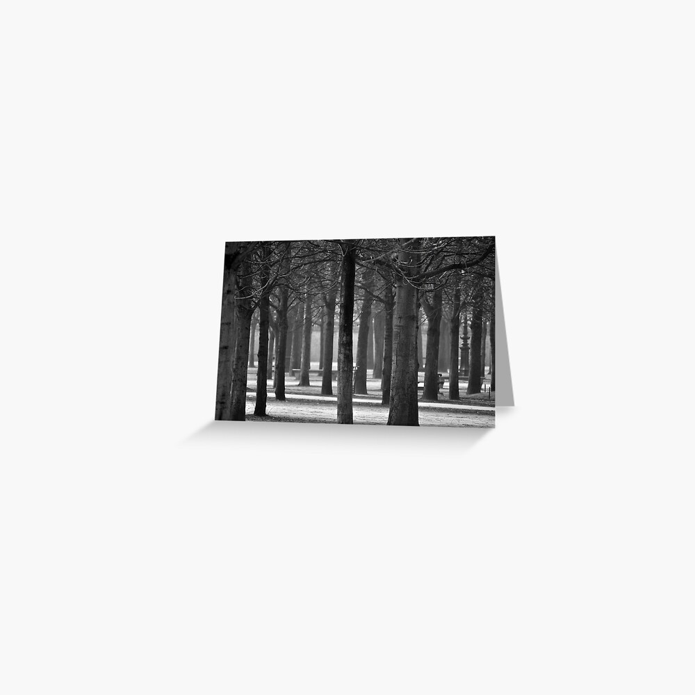 Winter Garden Greeting Card