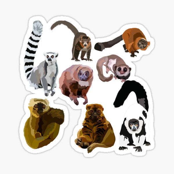 Item preview, L is for Lemur, Lemur Illustration – Charming Madagascar Primate Art for Wildlife Lovers designed and sold by PrettylittlepastelUk.