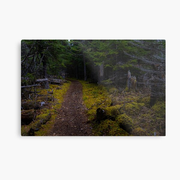Alaskan Trailhead Metal Print