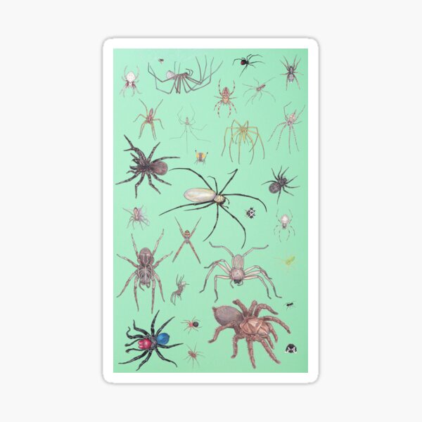 Spiders with green background Sticker