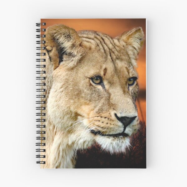 Item preview, A Beautiful Lioness designed and sold by Karen Thomson.