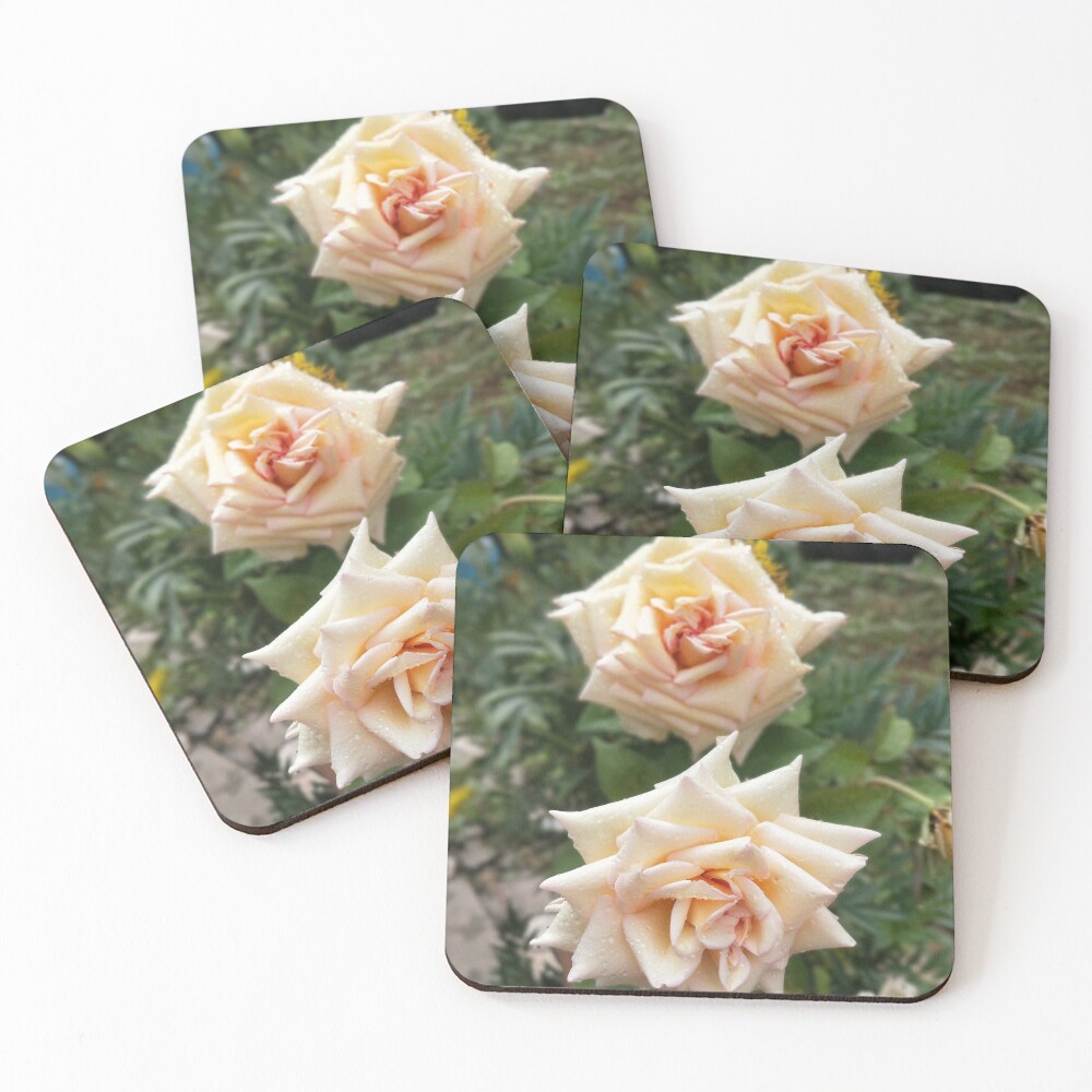 Item preview, Coasters (Set of 4) designed and sold by Rlgroup.