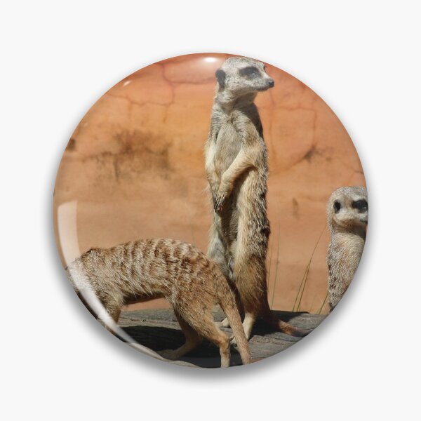 Item preview, Meerkats at the zoo designed and sold by FranWest.