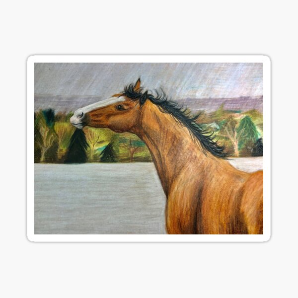 Aperçu de l'œuvre Cheval bai créée et vendue par jazzymbf.