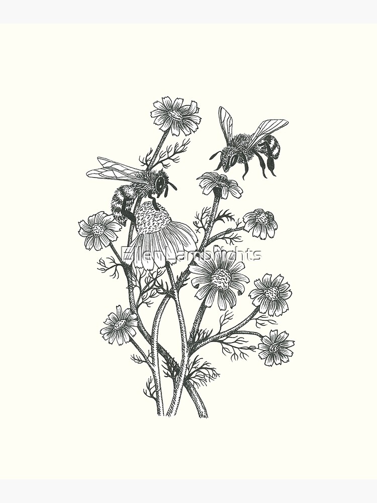 bees and chamomile on offwhite background by EllenLambrichts