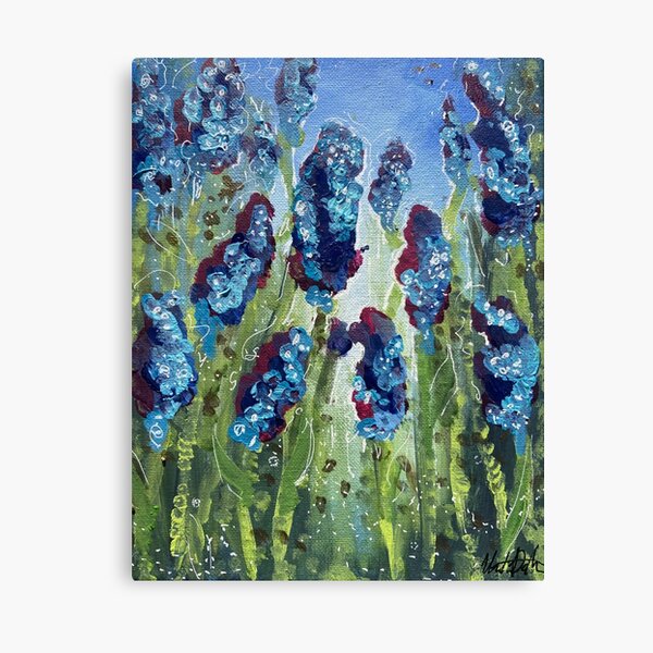 Magic Hyacinth Field Canvas Print