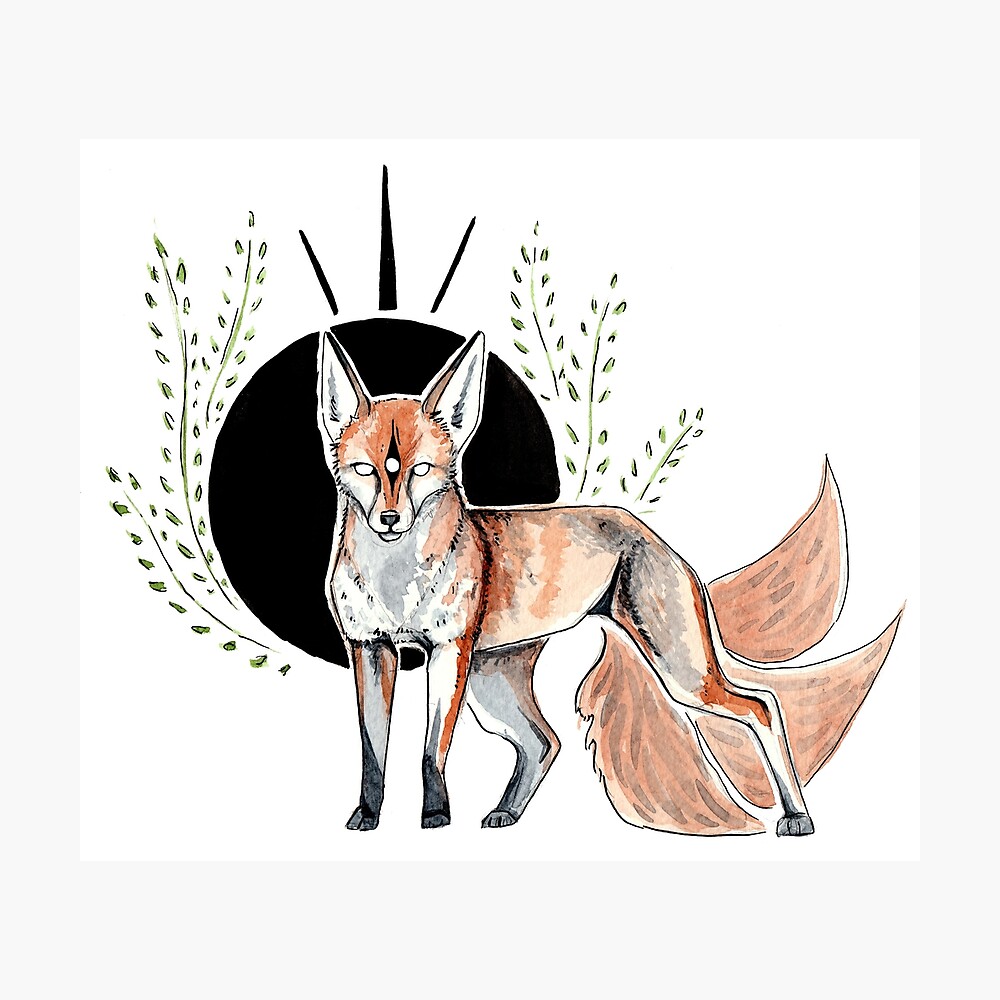 Hi! I'm trying to find therian friends!  Fox artwork, Cute drawings, Book  art drawings