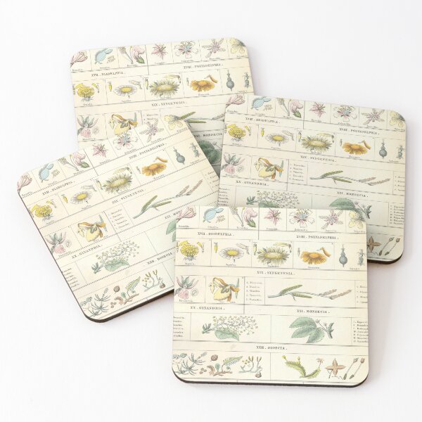 Item preview, Botanical Chart by Bromme designed and sold by Lloyd Library & Museum.