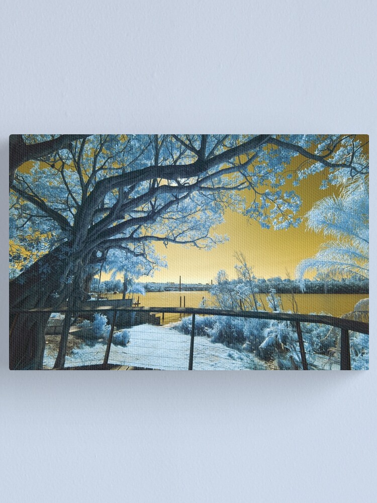 Alternate view of The Fig Tree and the Eleanor Schonell Bridge Canvas Print