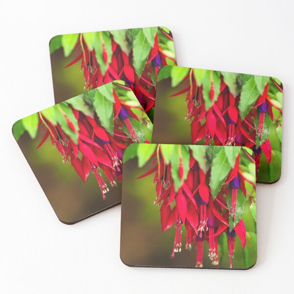 Item preview, Fuchsia Blossom  designed and sold by vaska00762.