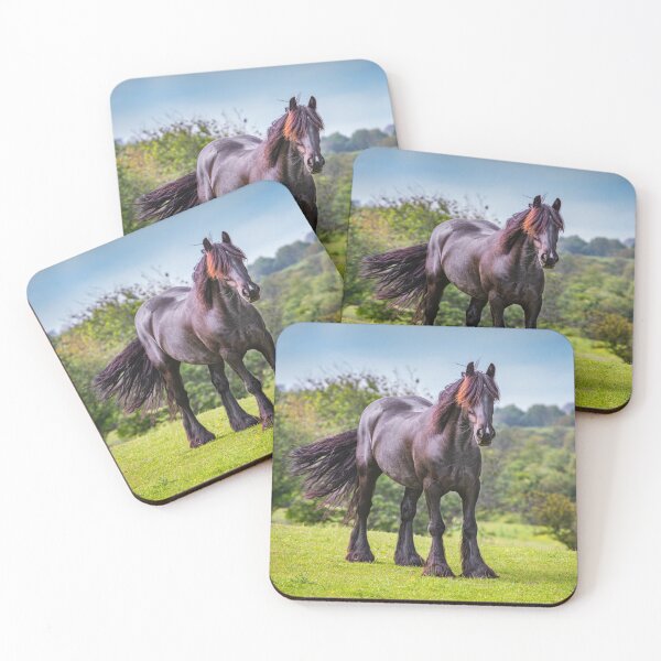 Item preview, Black Horse designed and sold by Dave Hare Photography.