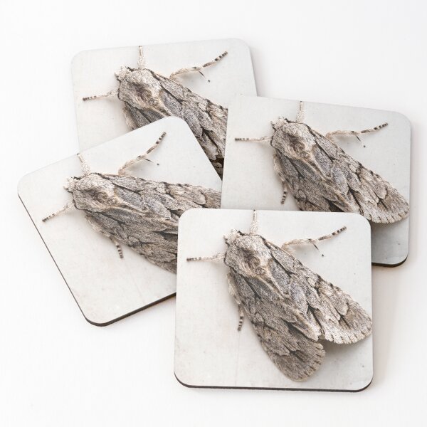 Item preview, White Moth designed and sold by vaska00762.