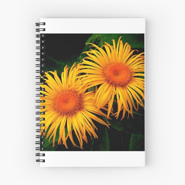 Item preview, Two Daisies designed and sold by Smaxi.
