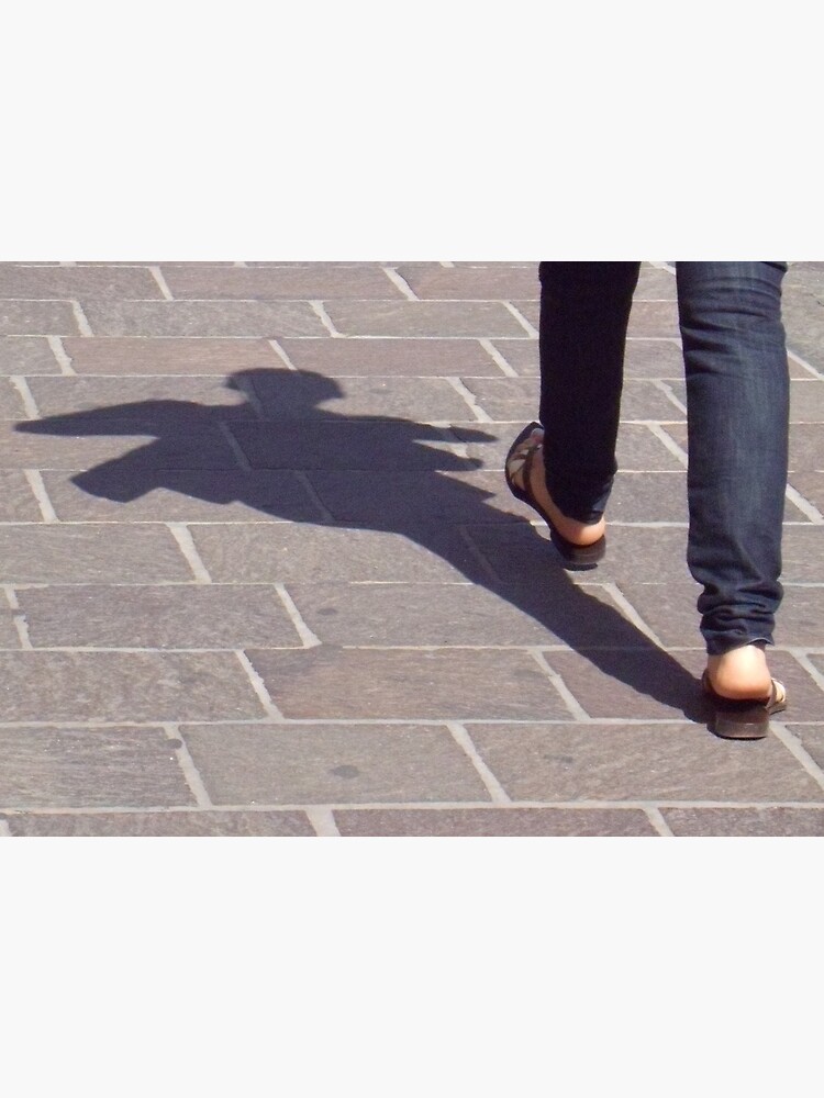 Winged shadow, Bolzano/Bozen, Italy by leemcintyre