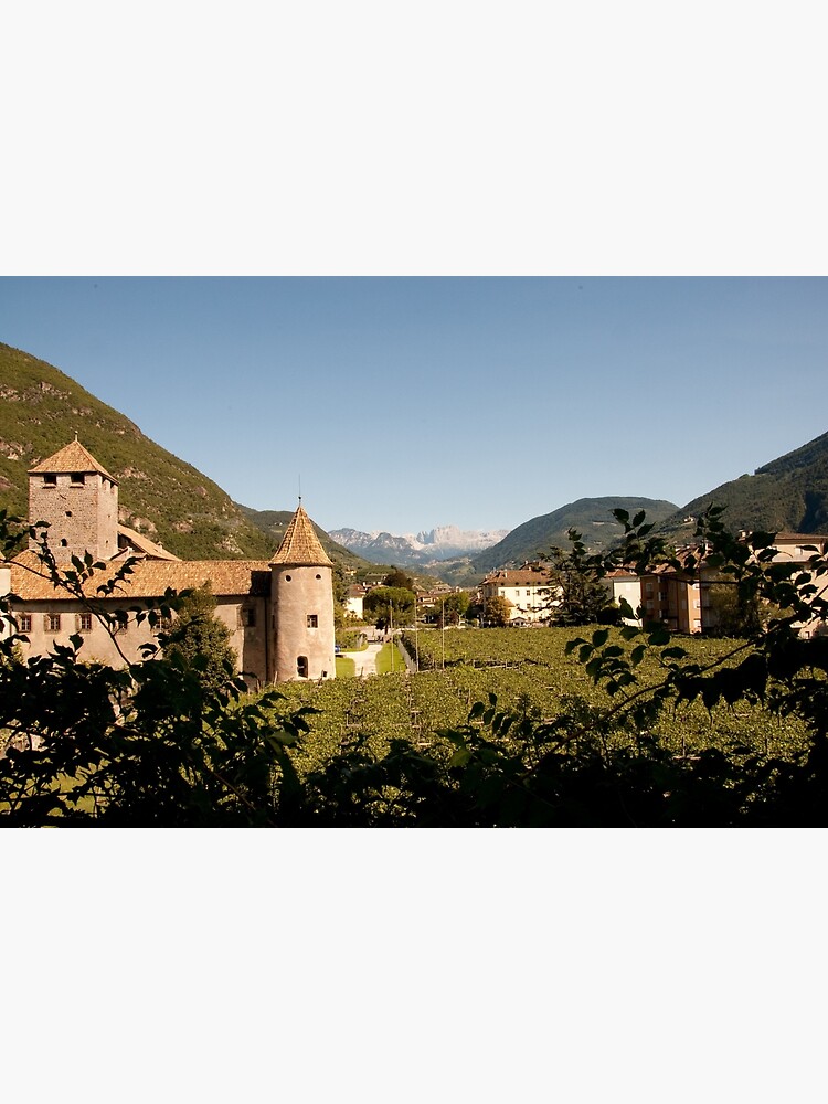 Castle Mareccio Vineyard, Bolzano/Bozen, Italy by leemcintyre