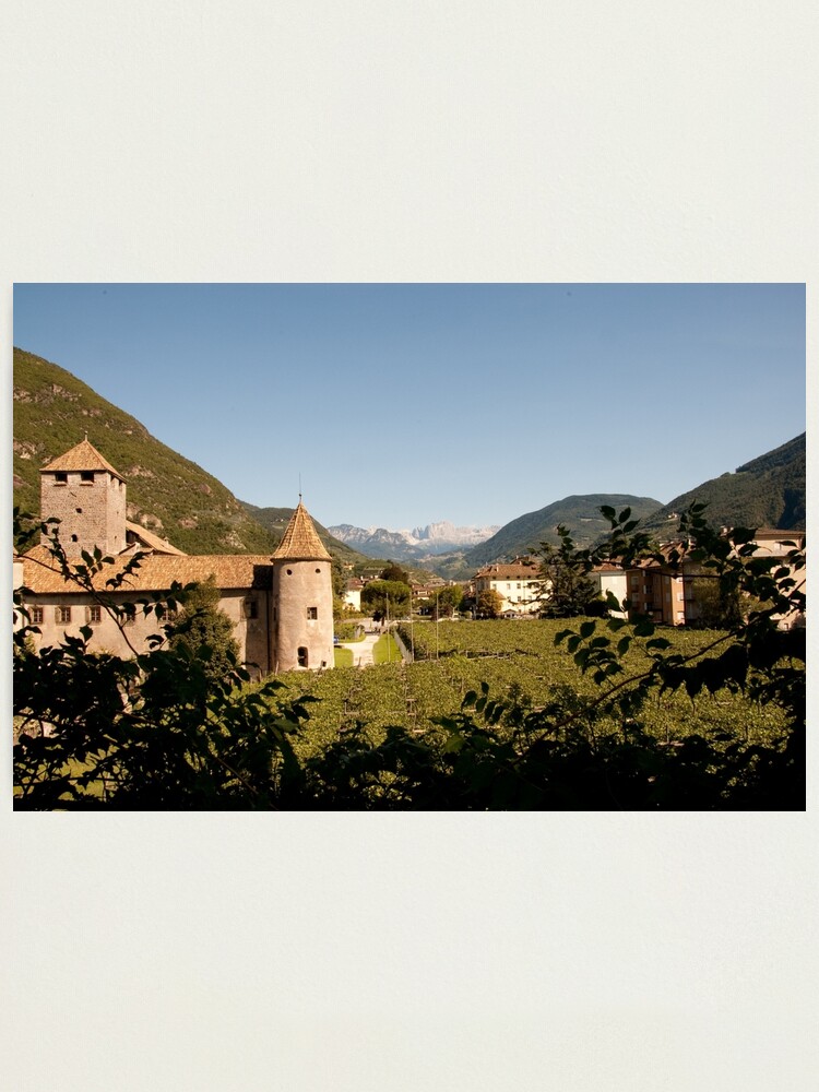 Alternate view of Castle Mareccio Vineyard, Bolzano/Bozen, Italy Photographic Print