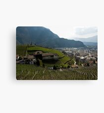 Hillside Vineyard, Bolzano/Bozen, Italy Canvas Print