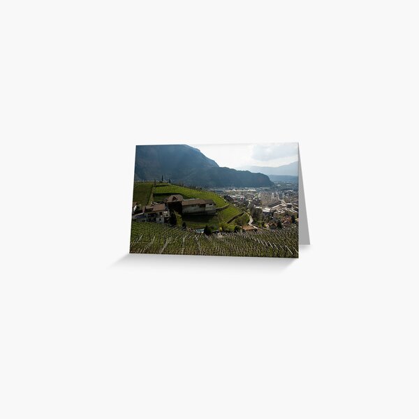 Item preview, Hillside Vineyard, Bolzano/Bozen, Italy designed and sold by L Lee McIntyre.