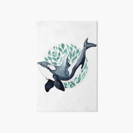 Orca whale in martini glass watercolor  Art Board Print for Sale by Maryna  Salagub