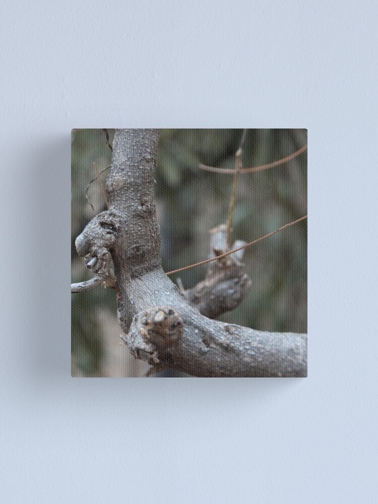 Alternate view of "Old Man's Profile", Bolzano/Bozen, Italy Canvas Print