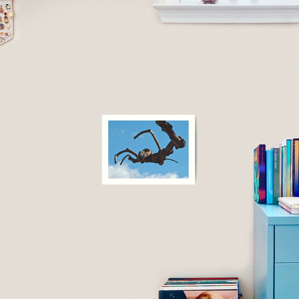 "Spider", Bolzano/Bozen, Italy Art Print
