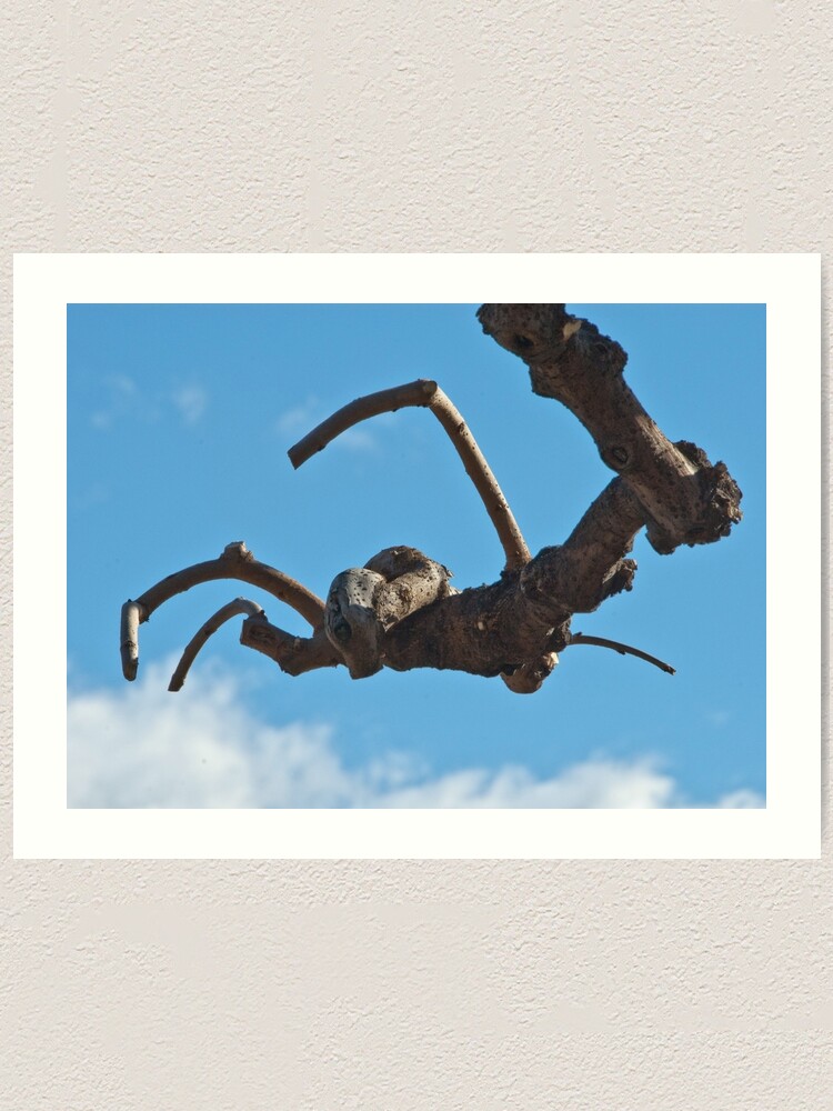 Alternate view of "Spider", Bolzano/Bozen, Italy Art Print