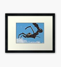 "Spider", Bolzano/Bozen, Italy Framed Print