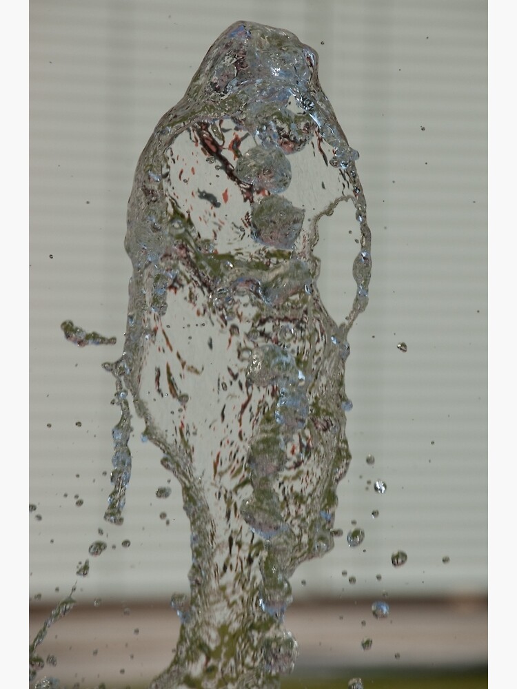 Water Snake, Bolzano/Bozen, Italy by leemcintyre