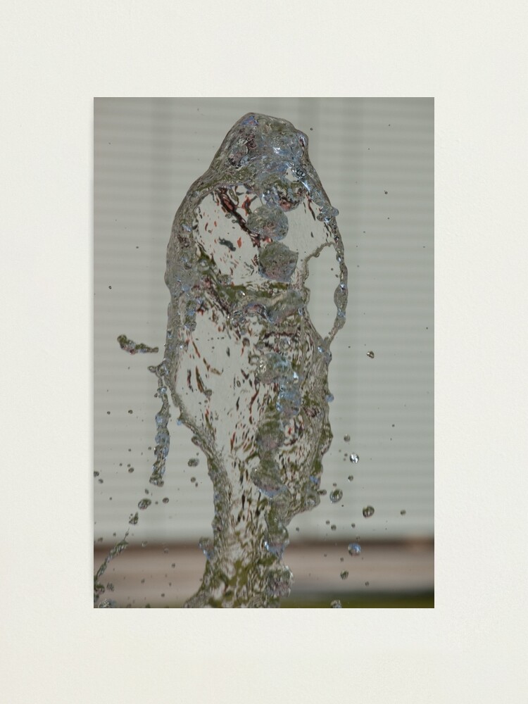Alternate view of Water Snake, Bolzano/Bozen, Italy Photographic Print