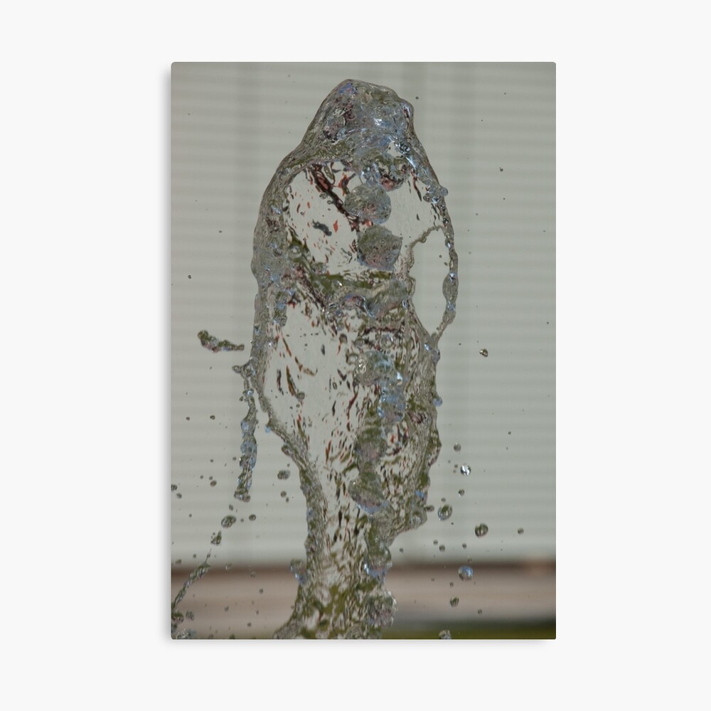 Water Snake, Bolzano/Bozen, Italy Canvas Print