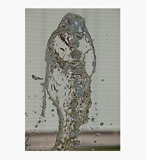 Water Snake, Bolzano/Bozen, Italy Photographic Print