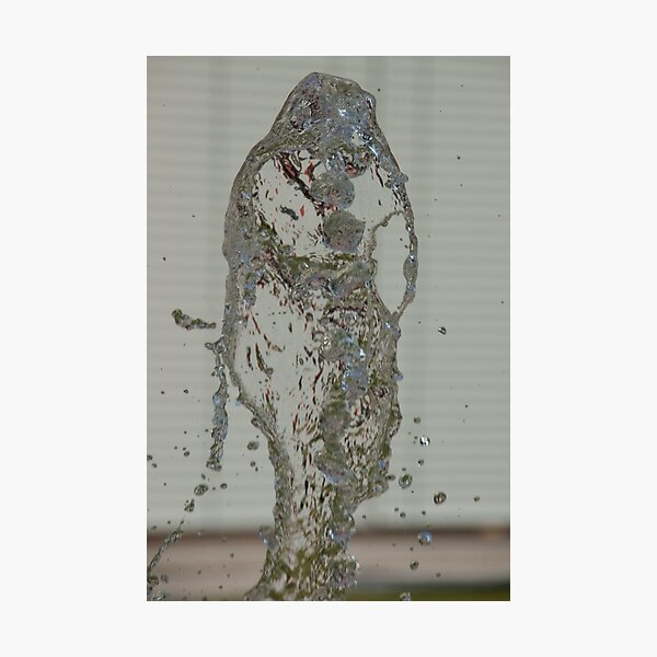 Water Snake, Bolzano/Bozen, Italy Photographic Print