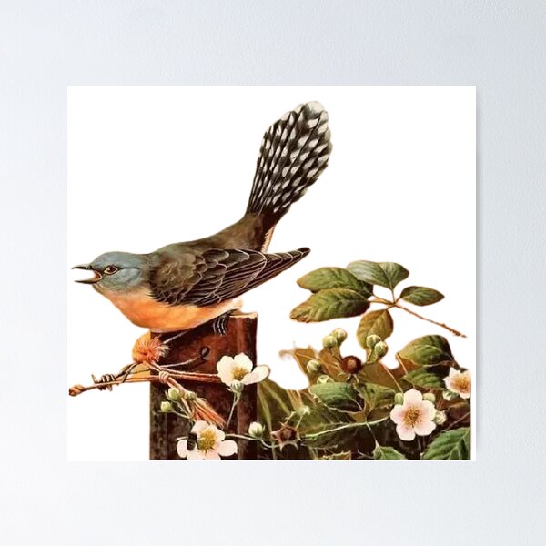 Item preview, Ingeniously painted a hundred birds picture, lifelike. Picture 1 is so beautiful! designed and sold by zenger2021.